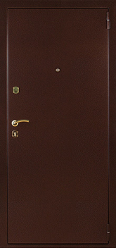 Дверь Порошок №19